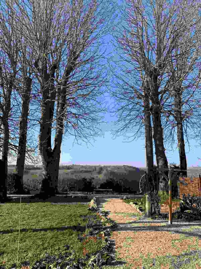 La Flavignienne Bed & Breakfast Flavigny-sur-Ozerain Exterior photo